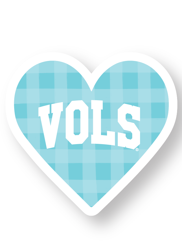 Aqua Blue Gingham Heart Sticker