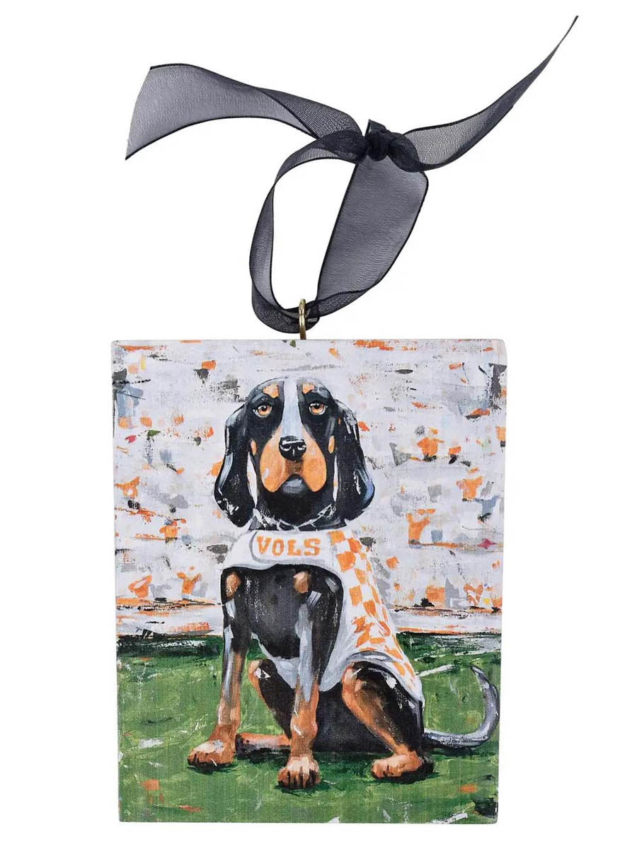 Tennessee Smokey Block Ornament