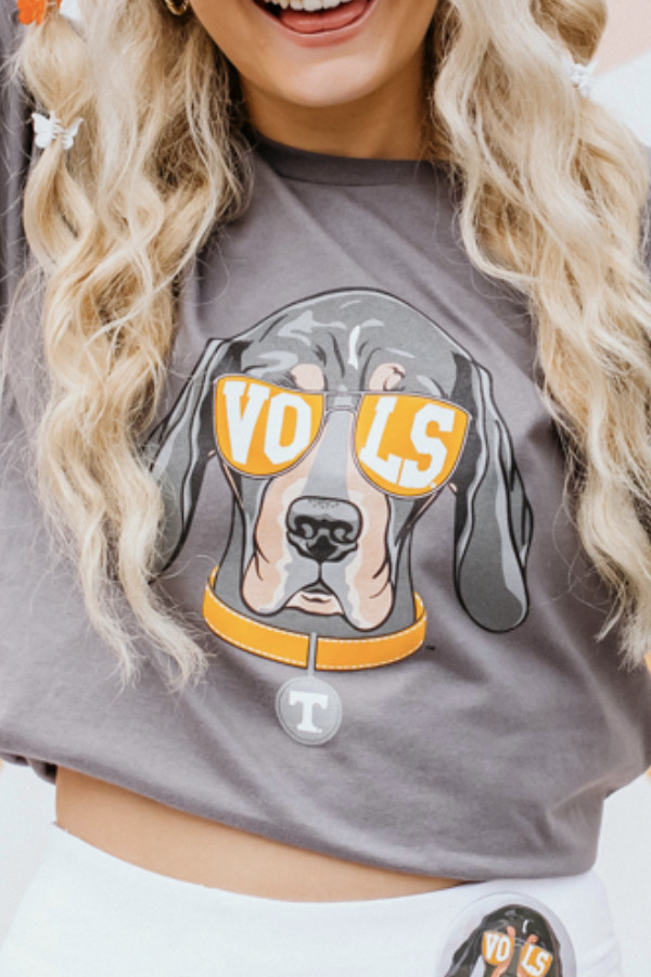 Closeup of Smokey Dog on Grey Tee