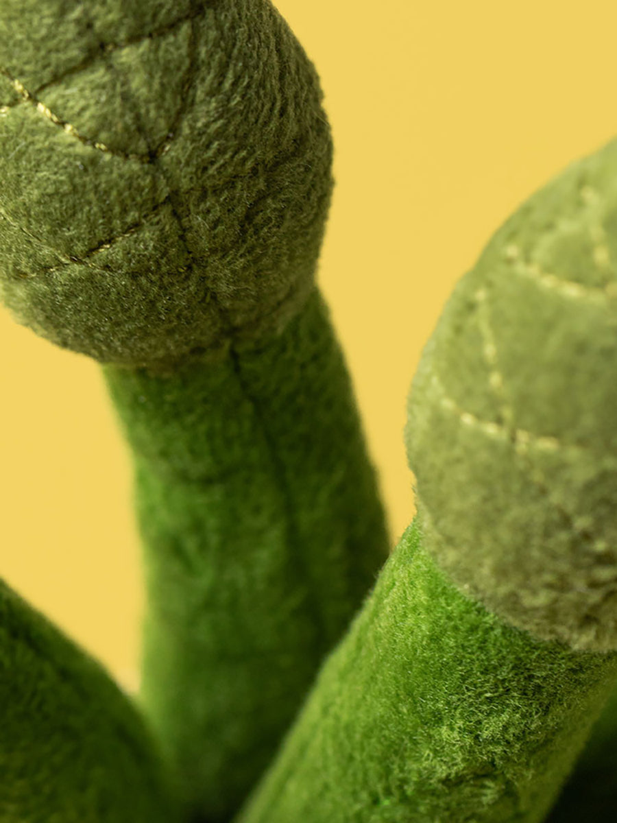 Closeup of Asparagus Plush