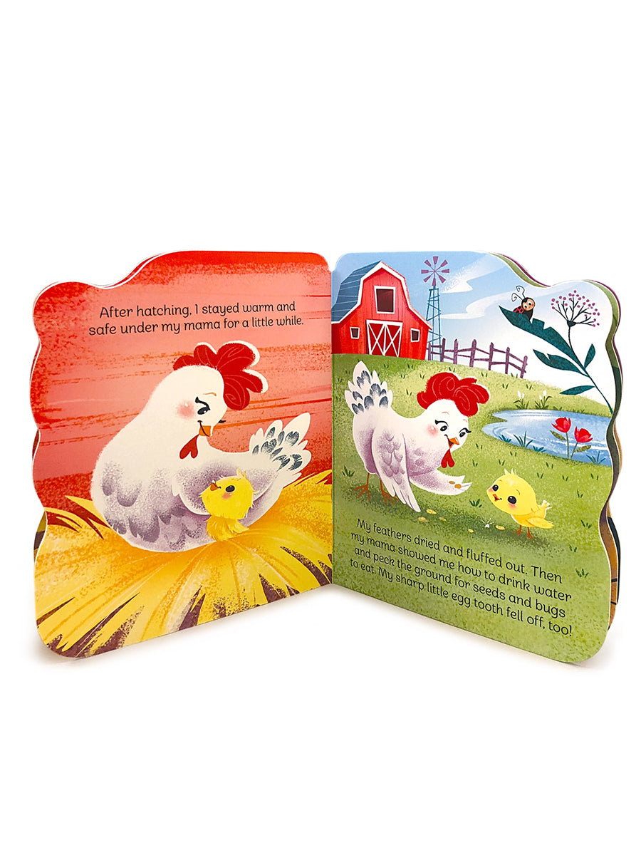 A Little Chick Board Book