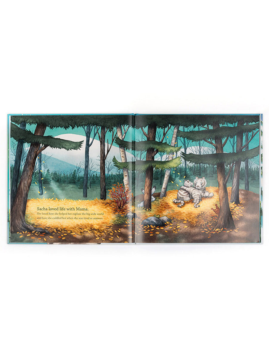 Sacha and the Most Wonderful Thing Book