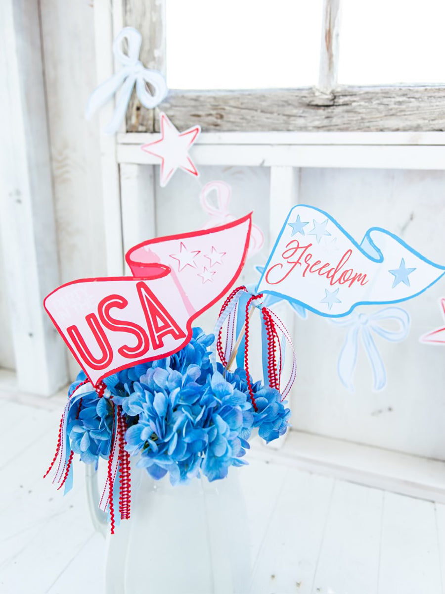 Patriotic Party Packs (2 Options)