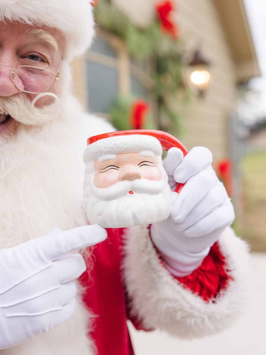 Ceramic Santa Mug (2 Colors)