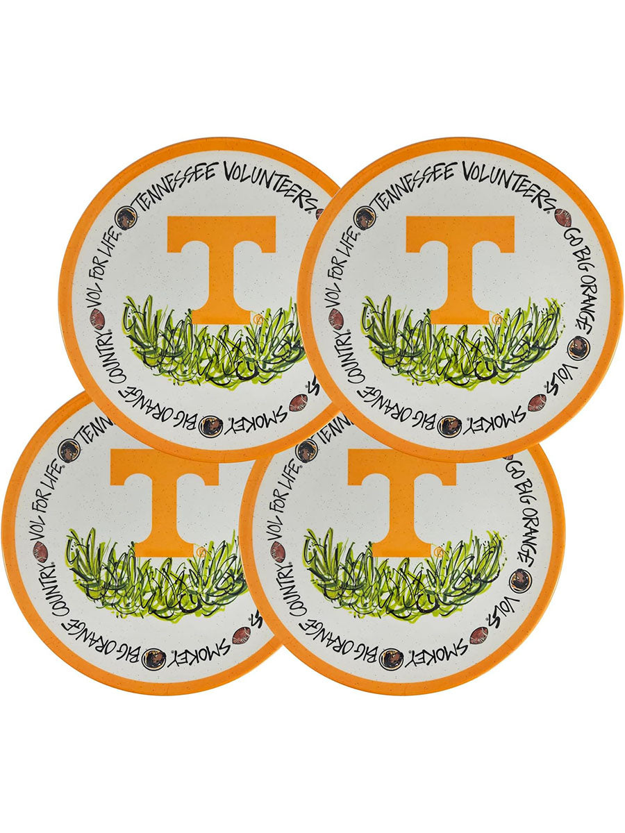 set of 4 Tennessee melamine dinner plates