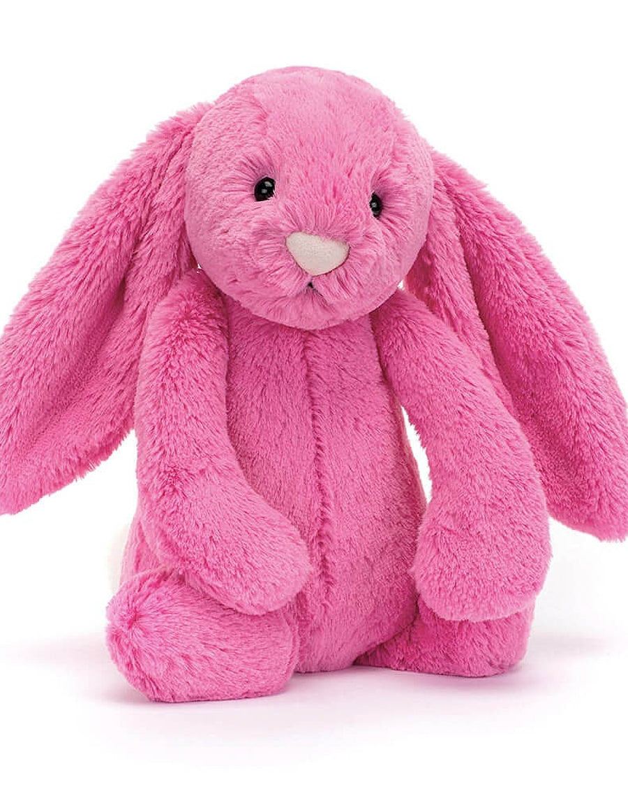 Bright Pink Stuffed Rabbit