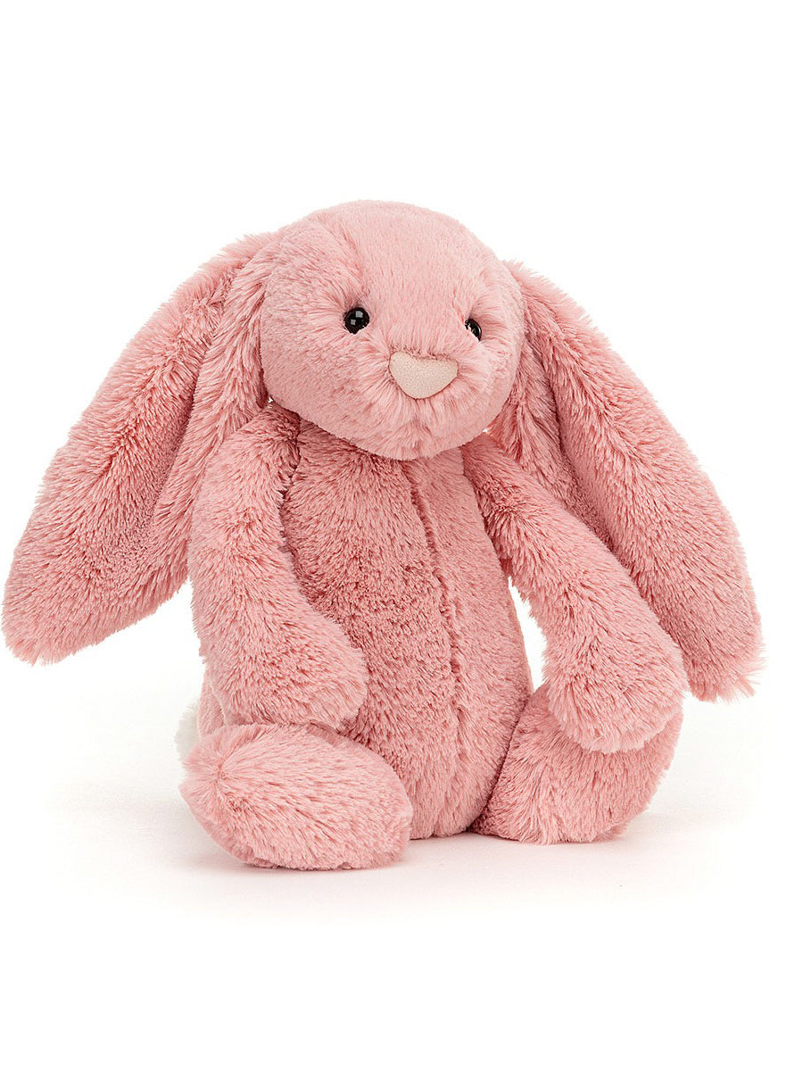 Pink Bunny Rabbit for Kids