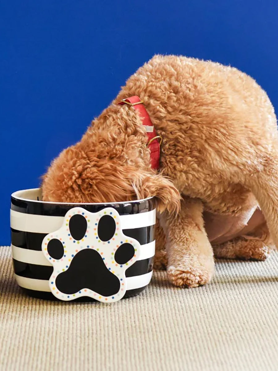 Dog Dish Ceramic Accent