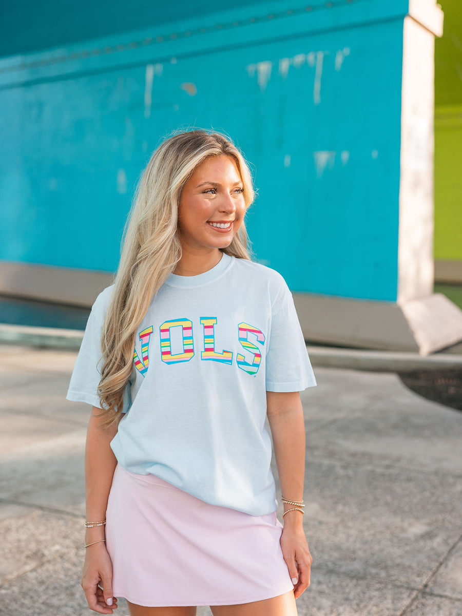 Colorful Stripes VOLS T-Shirt
