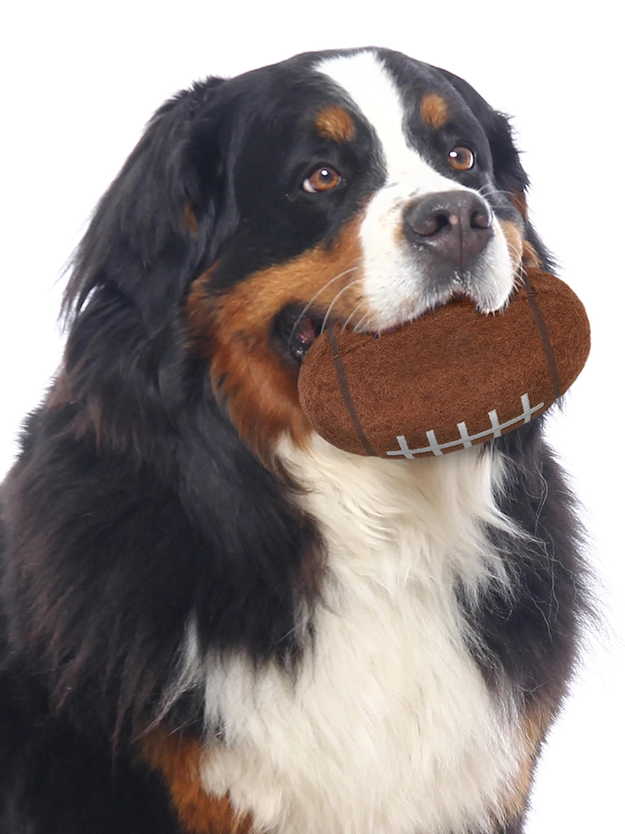 Power T Football Chew Toy