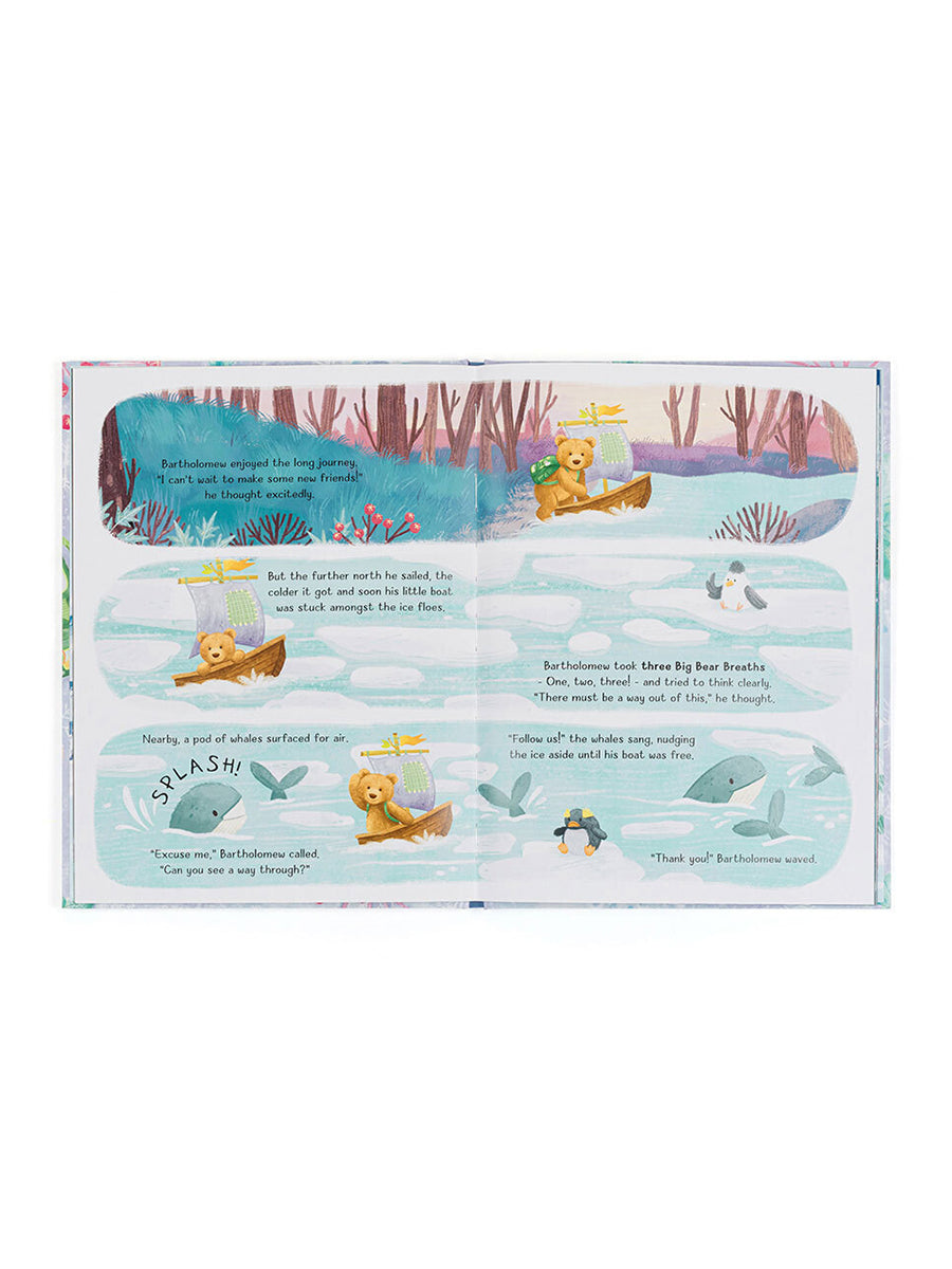 Bartholomew Bear Snow Book