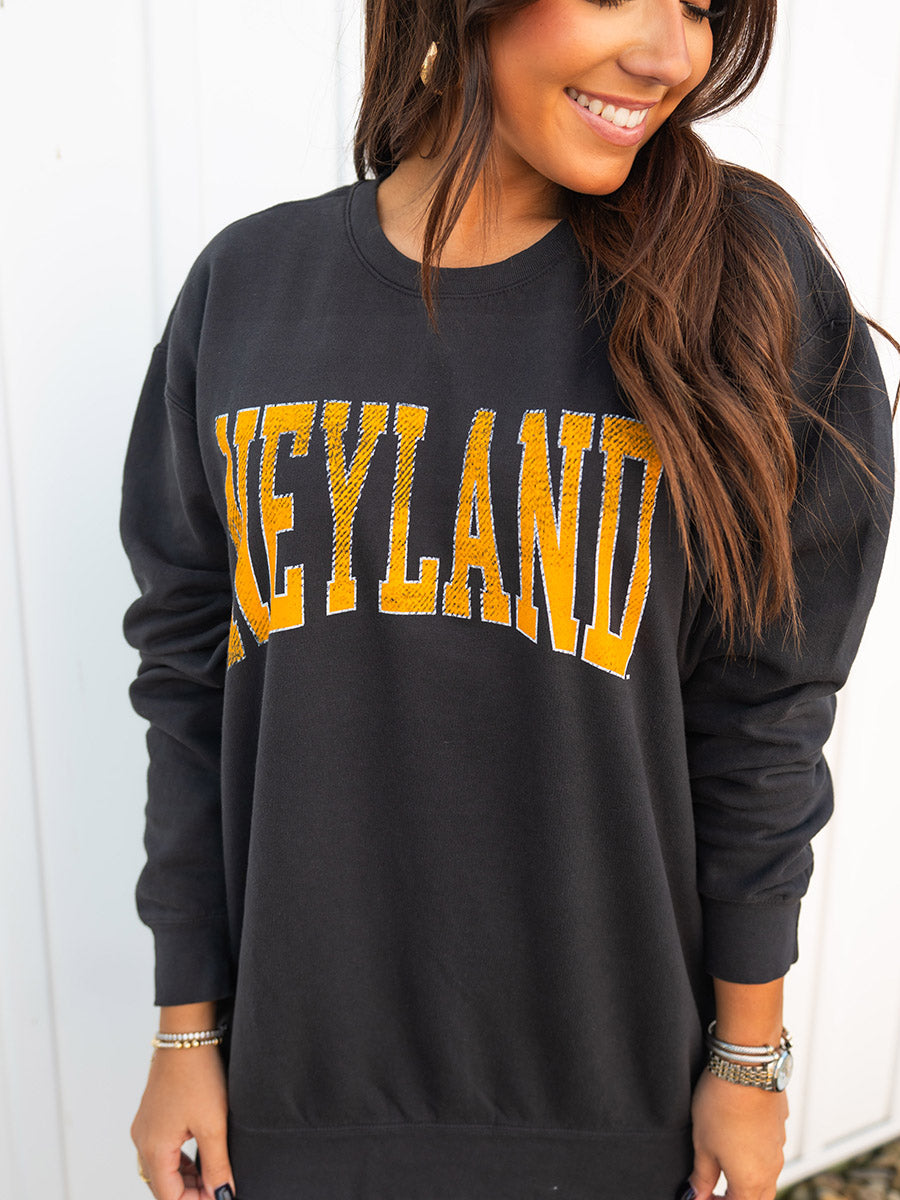 Neyland Stadium Tennessee Sweatshirt