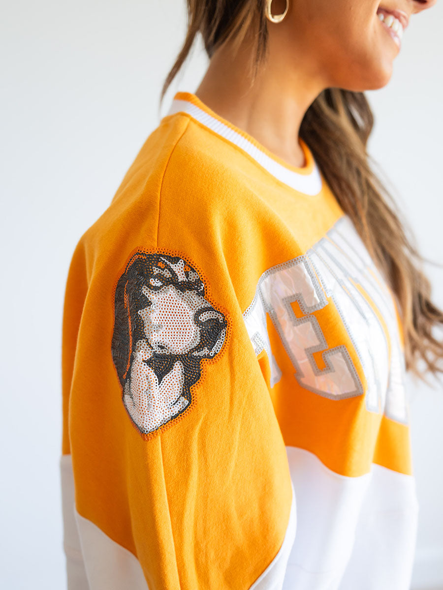 Sequined Smokey dog on sleeve of sweatshirt